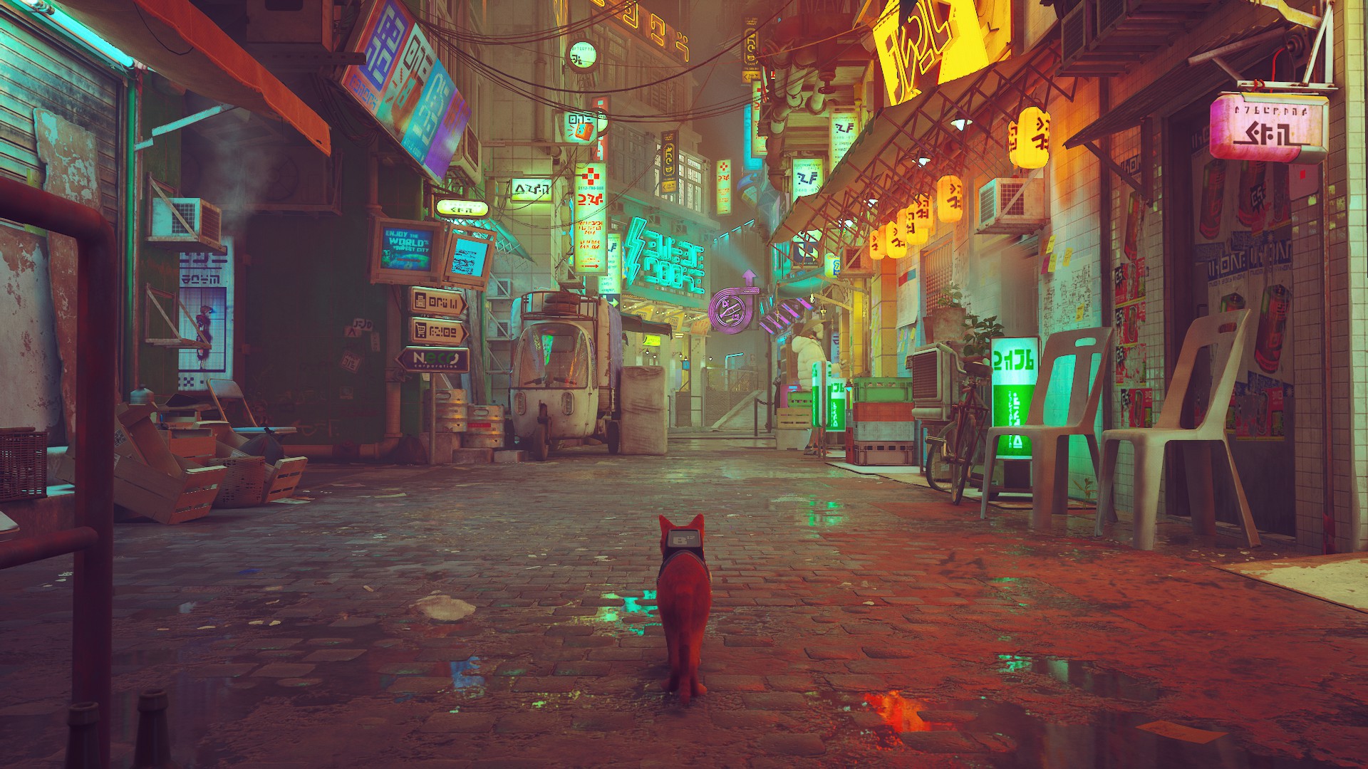 محیط بازی Stray